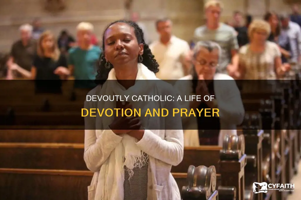 what is the definition of a devotional catholic