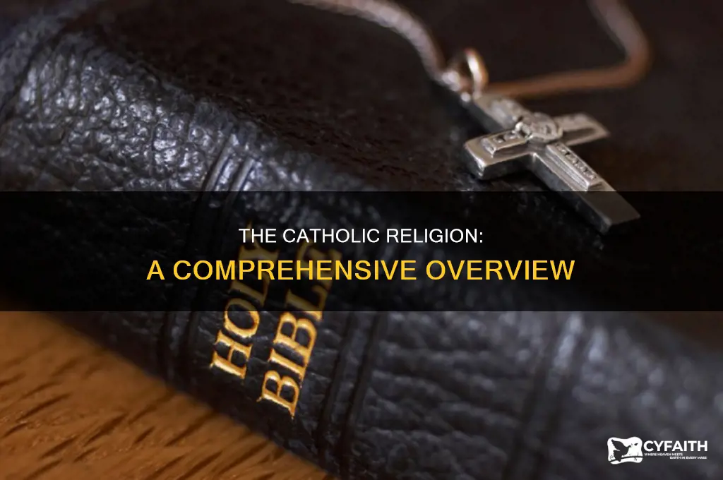 what is the definition of catholic religion