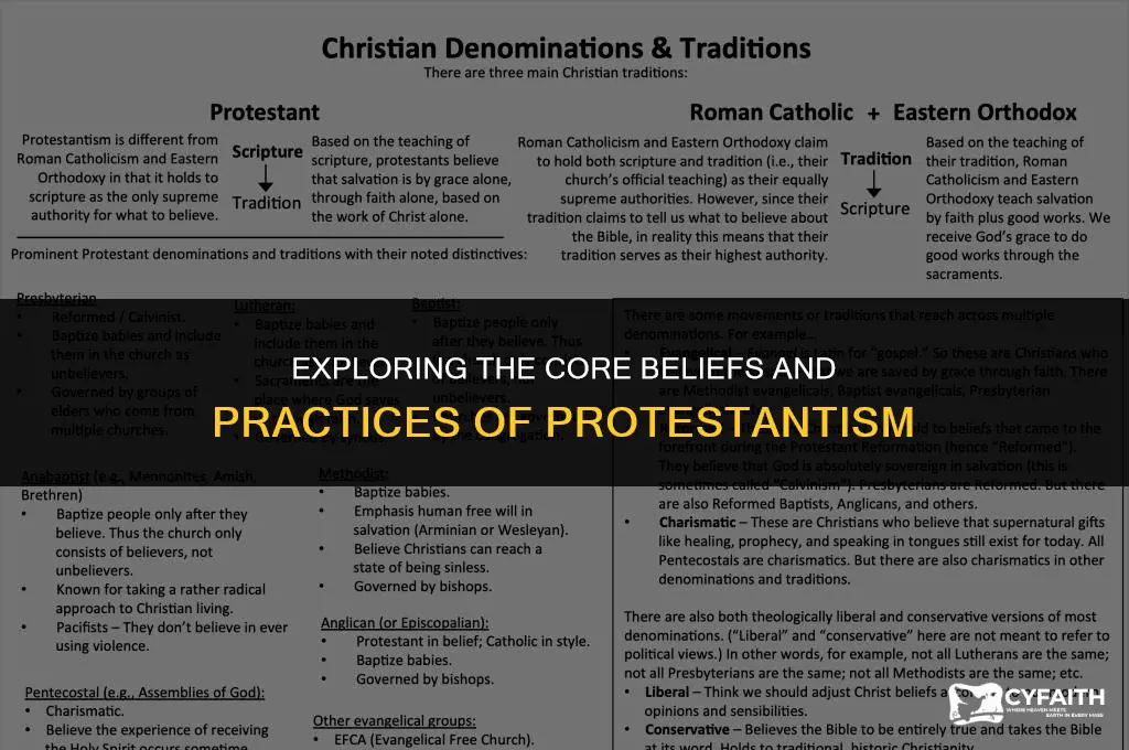 what is the defintion of protestant