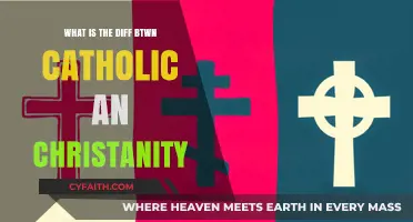 Catholicism and Christianity: What's the Difference?