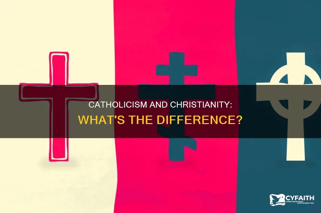 what is the diff btwn catholic an christanity