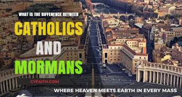 Catholics vs Mormons: What Sets Them Apart?