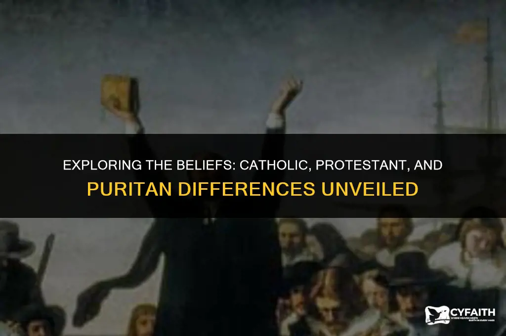 what is the difference between a catholic protestant and puritan