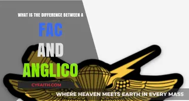 FAC vs. Anglico: Understanding the Key Differences and Uses