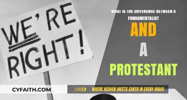 Exploring the Theological Divide: Fundamentalists vs. Protestants