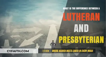 Lutheran vs. Presbyterian: Key Beliefs, Practices, and Church Structures Compared