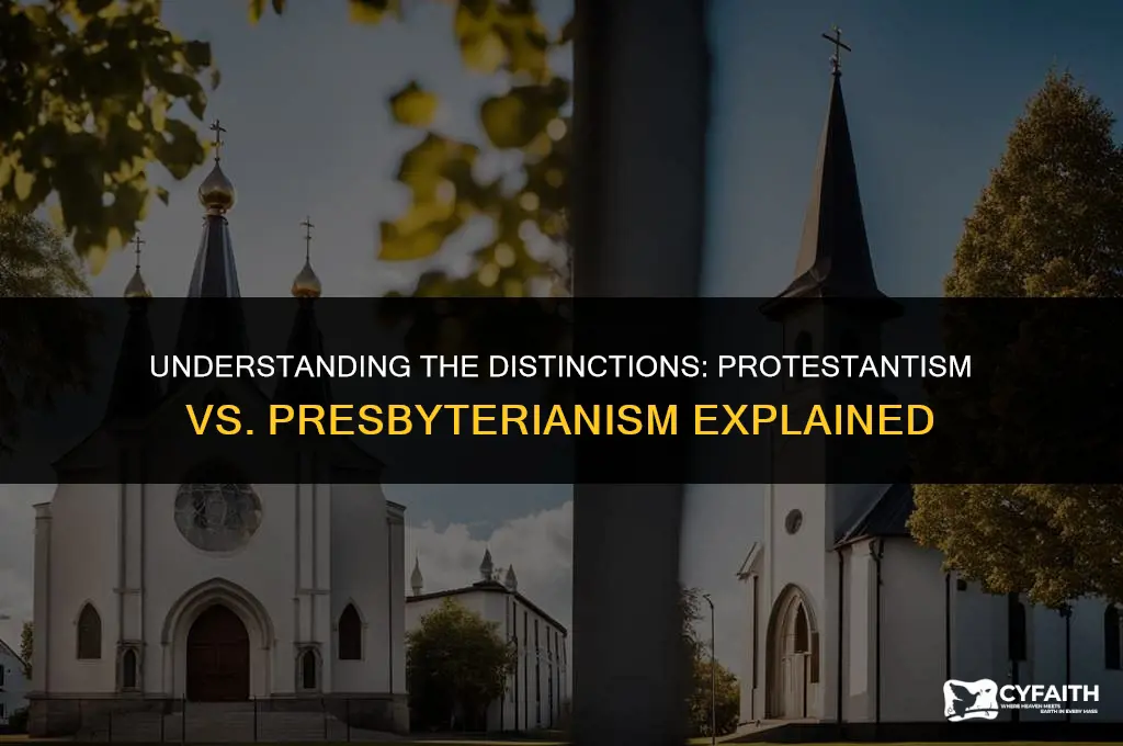 what is the difference between a protestant and a presbyterian