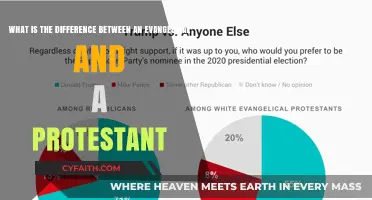 Understanding Faith: Evangelical vs. Protestant Beliefs Explained