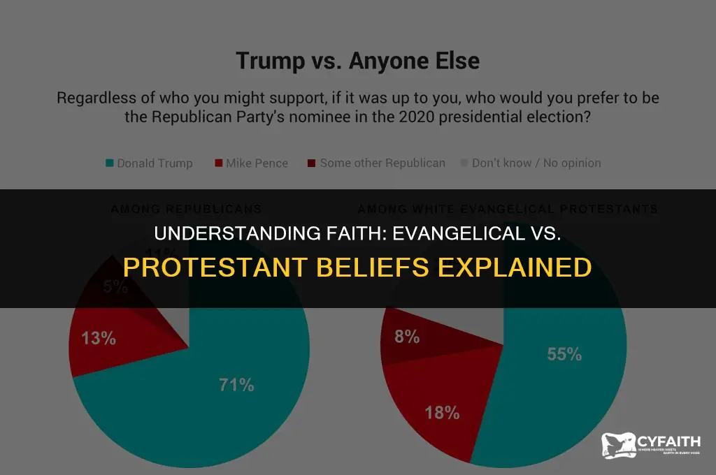 what is the difference between an evangelical and a protestant