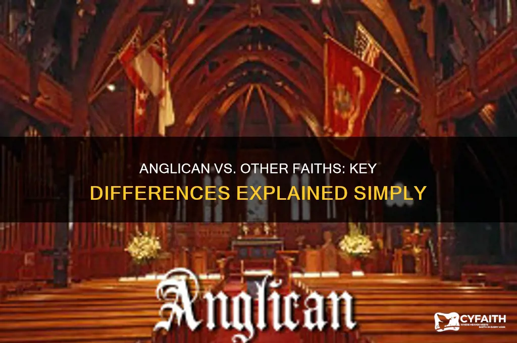 what is the difference between anglican &amp
