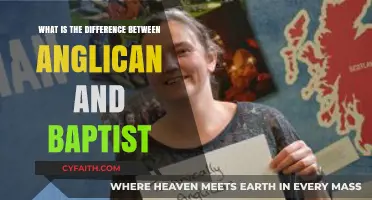 Anglican vs. Baptist: Key Theological and Practical Differences Explained