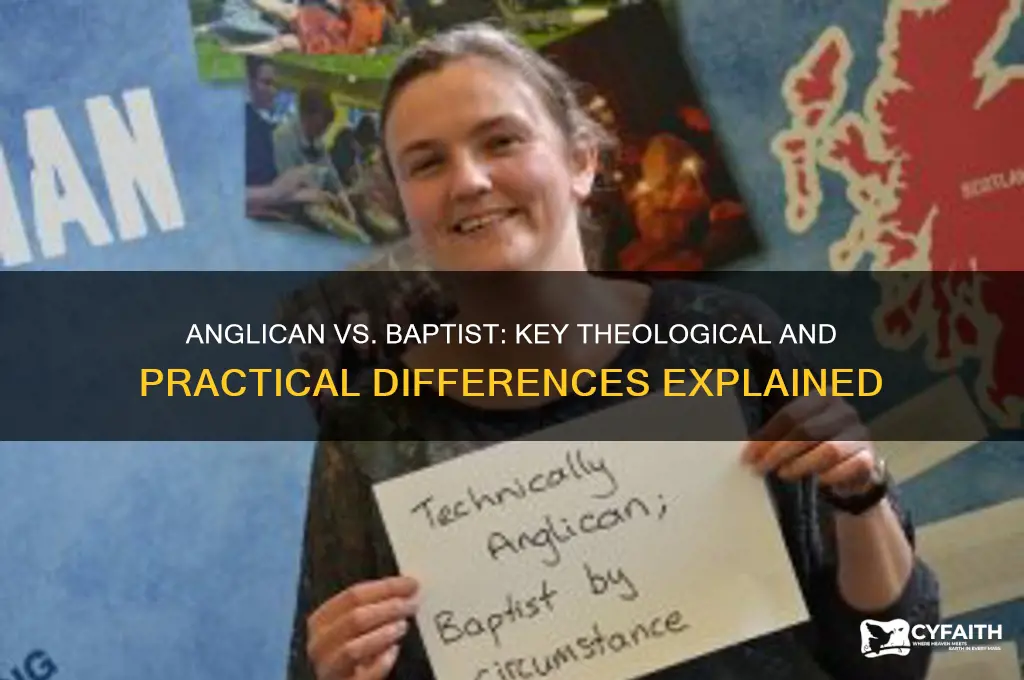 what is the difference between anglican and baptist