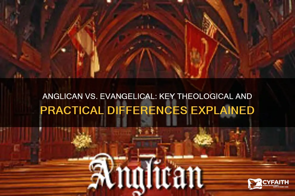 what is the difference between anglican and evangelical
