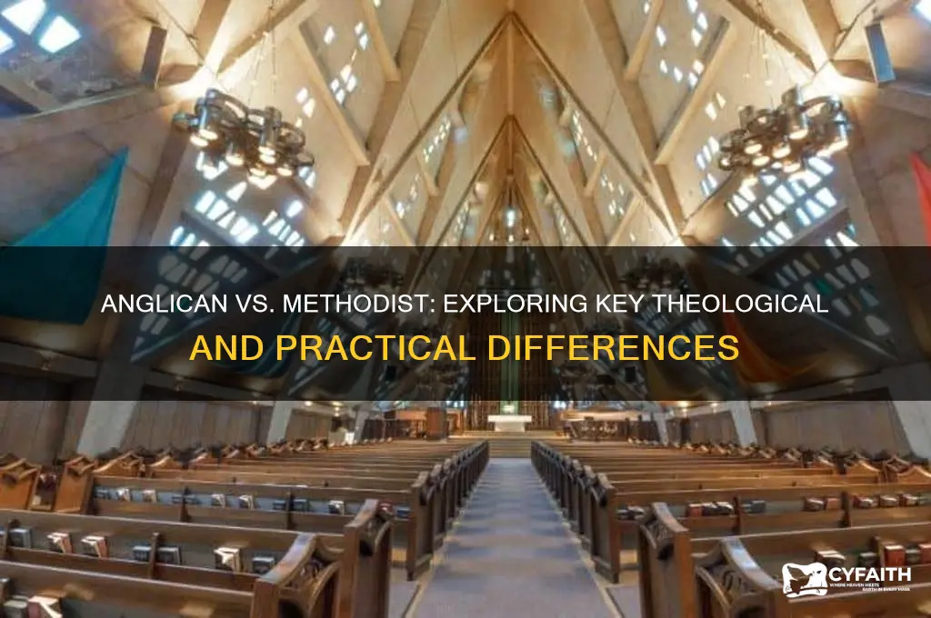 what is the difference between anglican and methodist