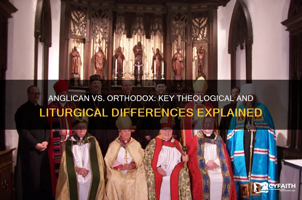 what is the difference between anglican and orthodox