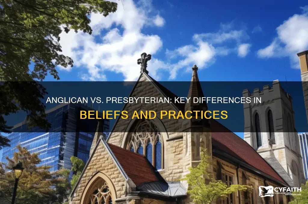 what is the difference between anglican and presbyterian