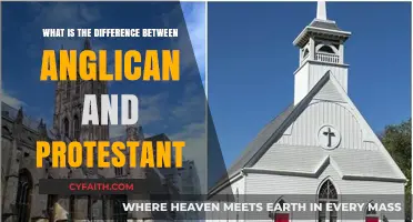 Anglican vs. Protestant: Key Differences in Beliefs and Practices
