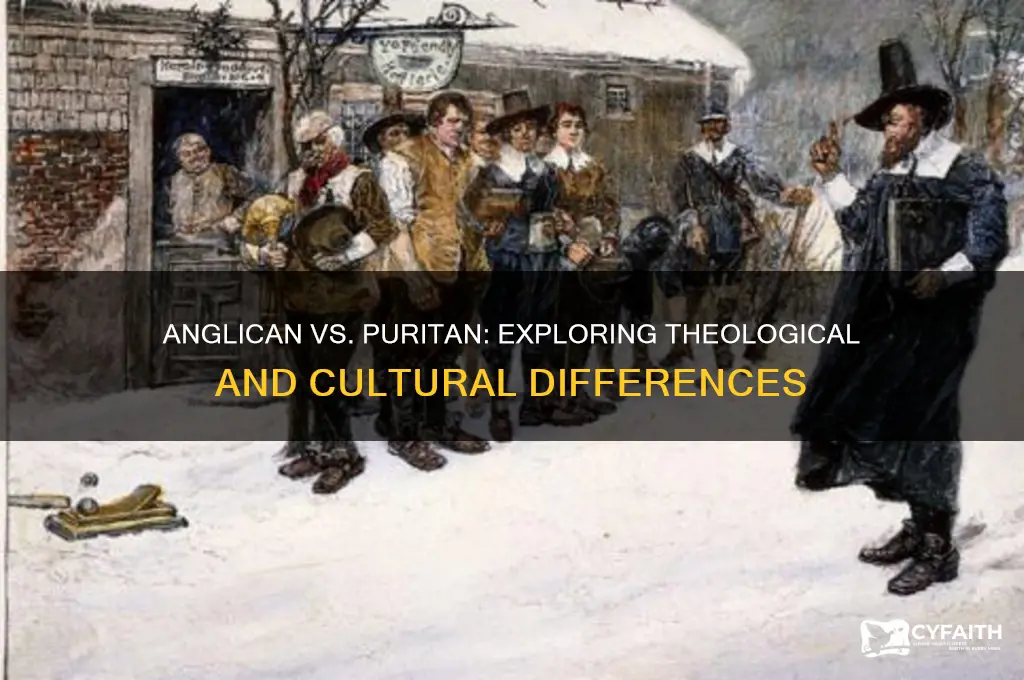 what is the difference between anglican and puritan