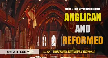 Anglican vs. Reformed: Key Theological and Historical Differences Explained