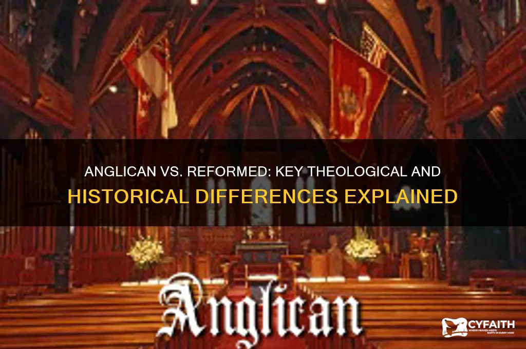 what is the difference between anglican and reformed
