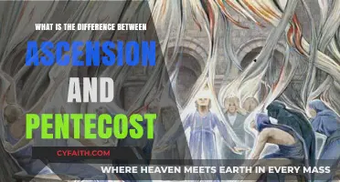 Exploring the Theological Distinctions: Ascension vs. Pentecost