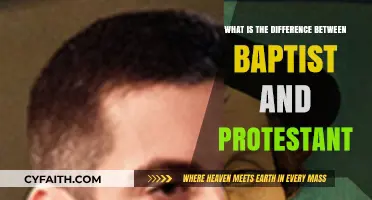 Exploring the Distinctions: Baptist vs. Protestant Beliefs