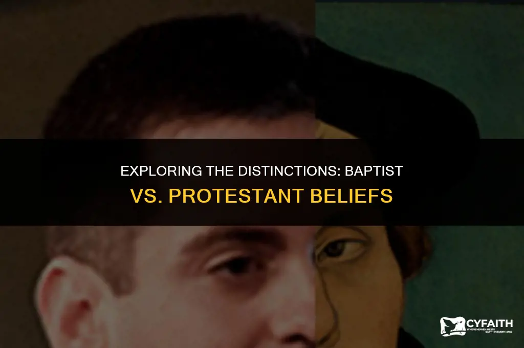 what is the difference between baptist and protestant