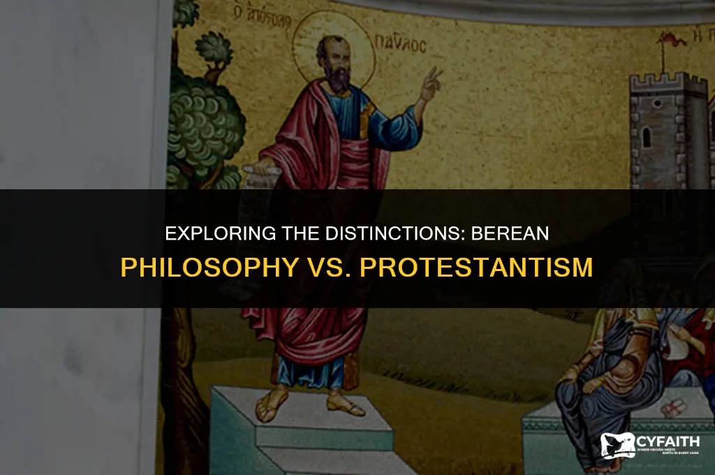 what is the difference between berean philosophy and protestant
