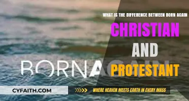 Exploring Faith: Born Again Christians vs. Protestants