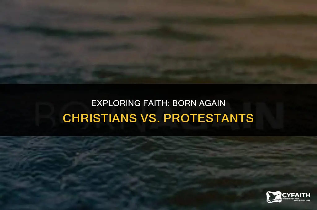 what is the difference between born again christian and protestant