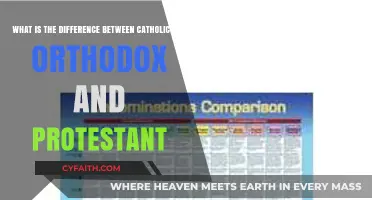 Exploring the Theological Distinctions: Catholic, Orthodox, and Protestant