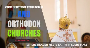 Catholic vs. Orthodox: Key Differences in Beliefs and Practices Explained
