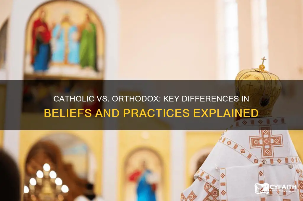 what is the difference between catholic and orthodox churches