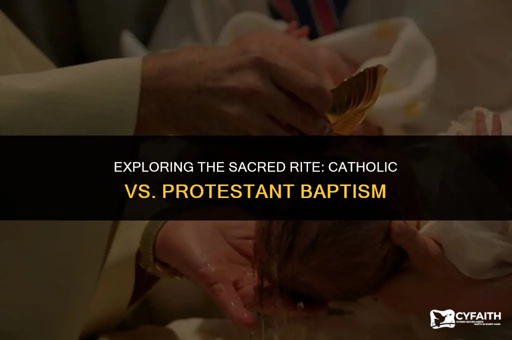 what is the difference between catholic and protestant baptism