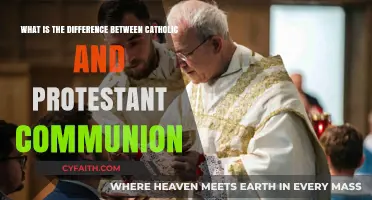 Exploring the Sacred: Catholic vs. Protestant Communion