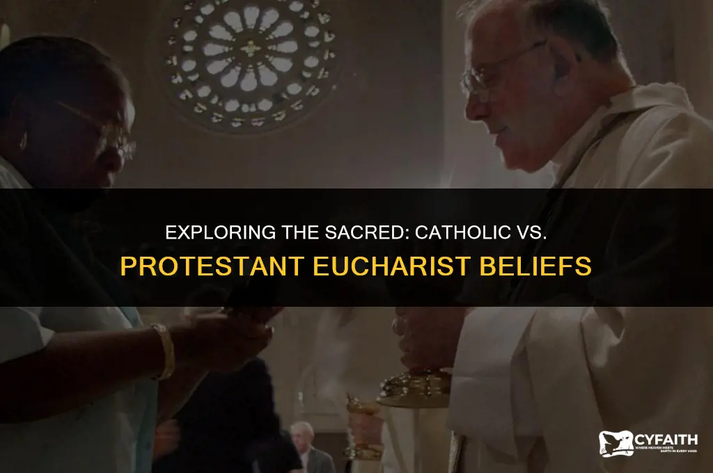 what is the difference between catholic and protestant eucharist