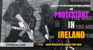 Exploring the Historical Divide: Catholic vs. Protestant in Ireland
