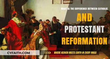 Exploring the Divergent Paths: Catholic vs. Protestant Reformation