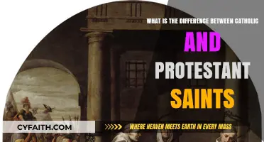 Exploring the Veneration Divide: Catholic vs. Protestant Saints