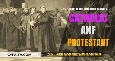 Exploring the Key Differences Between Catholic and Protestant Beliefs