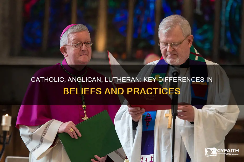 what is the difference between catholic anglican and lutheran