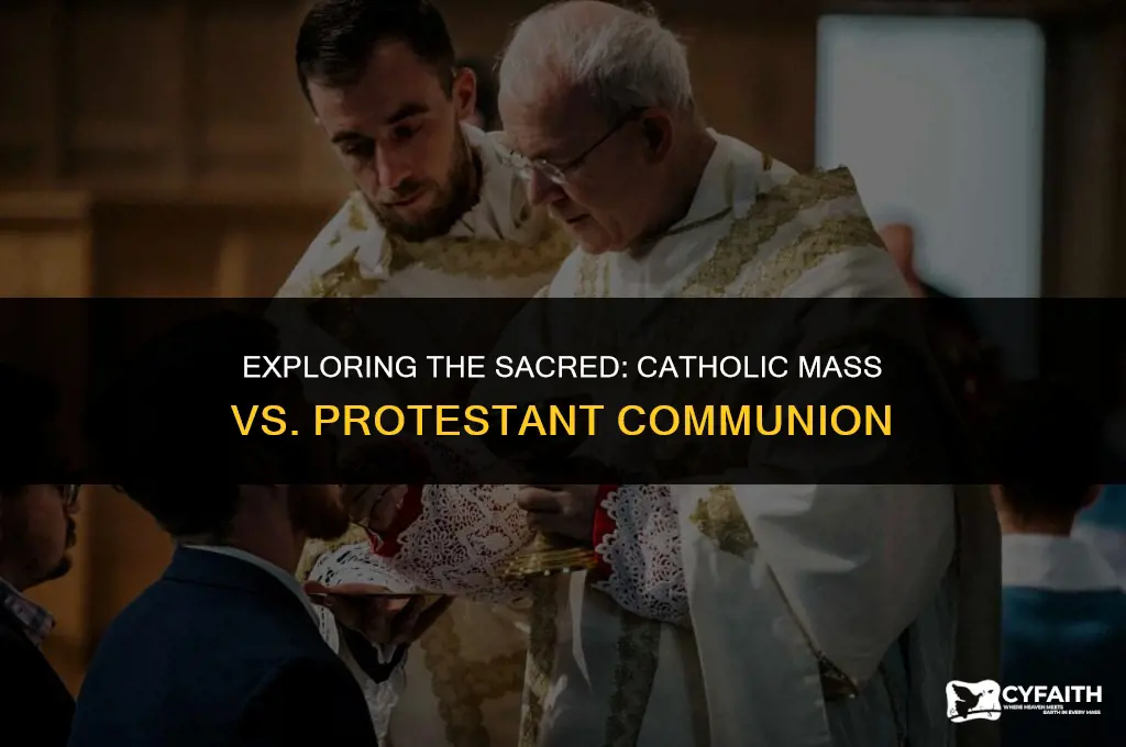 what is the difference between catholic mass and protestant communion