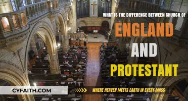 Exploring the Distinctions: Church of England vs. Protestant