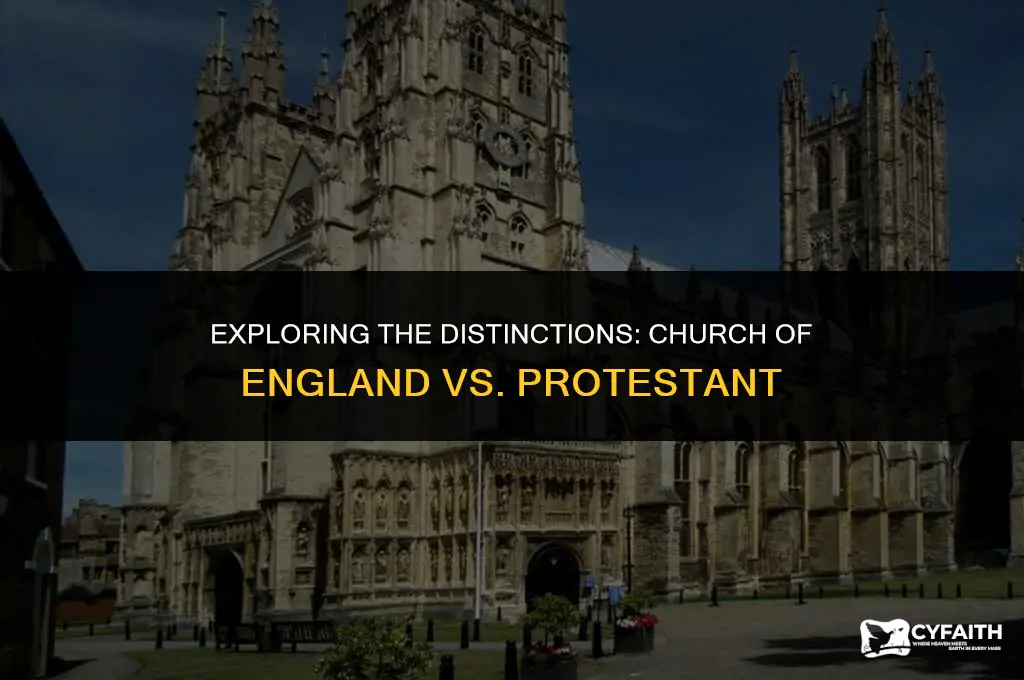 what is the difference between church of england and protestant