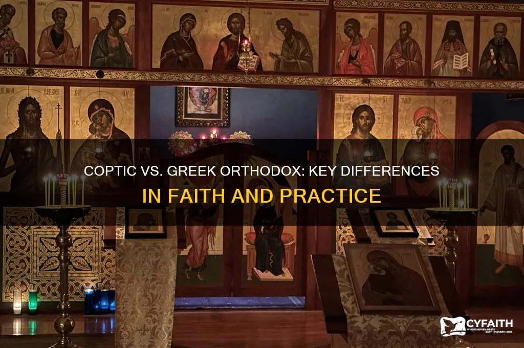 what is the difference between coptic orthodox and greek orthodox