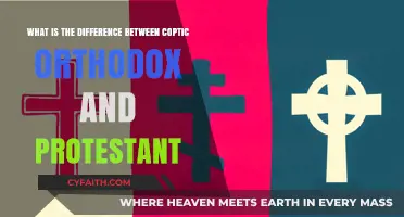 Exploring the Theological Distinctions Between Coptic Orthodox and Protestant Faiths