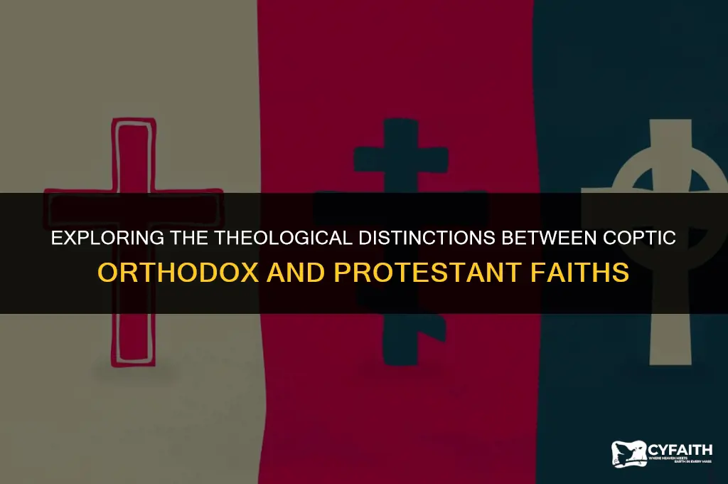 what is the difference between coptic orthodox and protestant