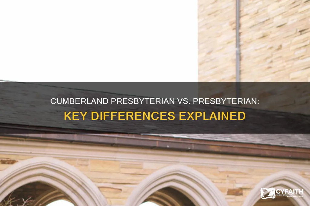what is the difference between cumberland presbyterian and presbyterian