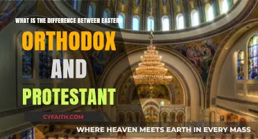 Exploring the Theological Divide: Orthodox vs. Protestant Beliefs