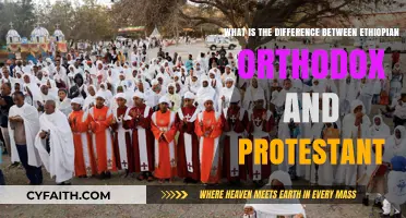 Exploring the Distinctions: Ethiopian Orthodox vs. Protestant Beliefs